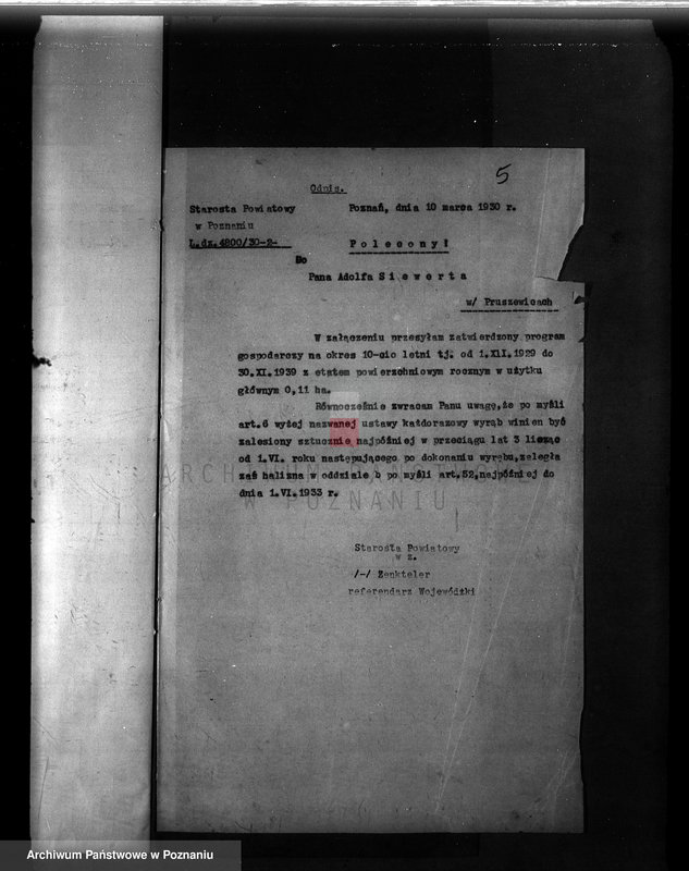 Obraz 9 z jednostki "Program urządzenia gospodarstwa leśnego dla lasu w gminie Pruszewice własność Adolf Siewert powiat poznański 1929-1939"