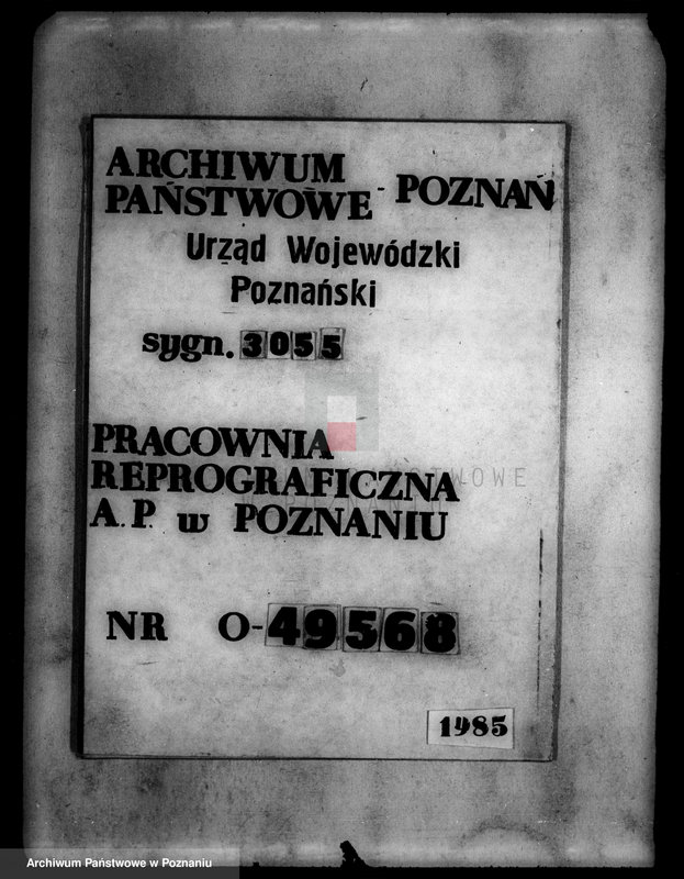 Obraz 19 z jednostki "Tymczasowy rejestr pomiarowy majątku Stare powiatu wyrzyskiego"