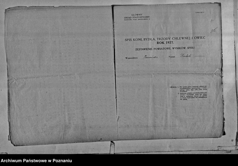 Obraz 10 z jednostki "Spis koni, bydła, trzody chlewnej i owiec - zestawienie z terenu powiatu średzkiego"