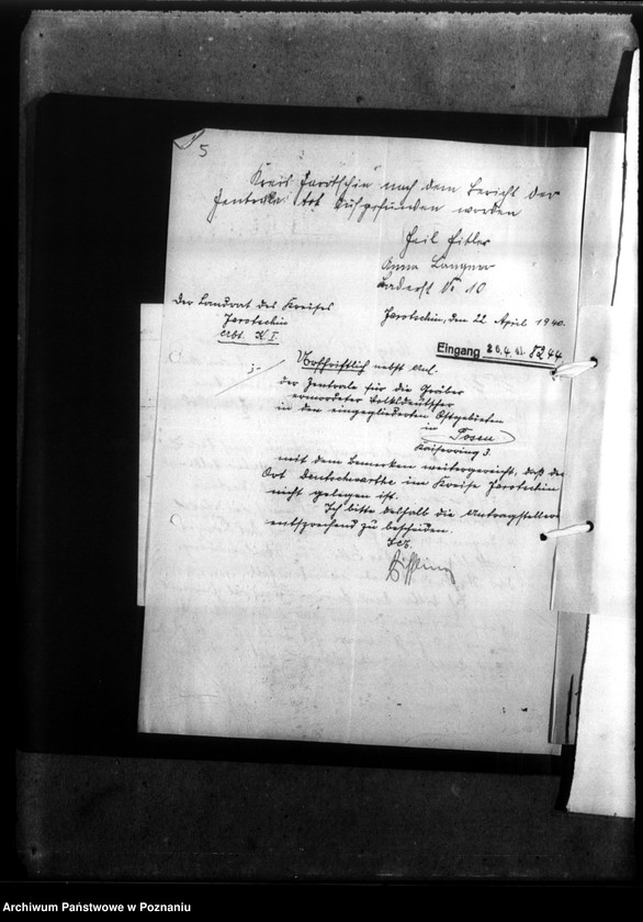 Obraz 9 z jednostki "Paul Langner - Schwetzkau, Kreis Lissa (Leszno)"