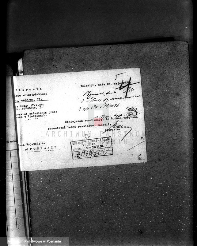 Obraz 10 z jednostki "Majętność leśna Kiełpiny powiat wolsztyński"