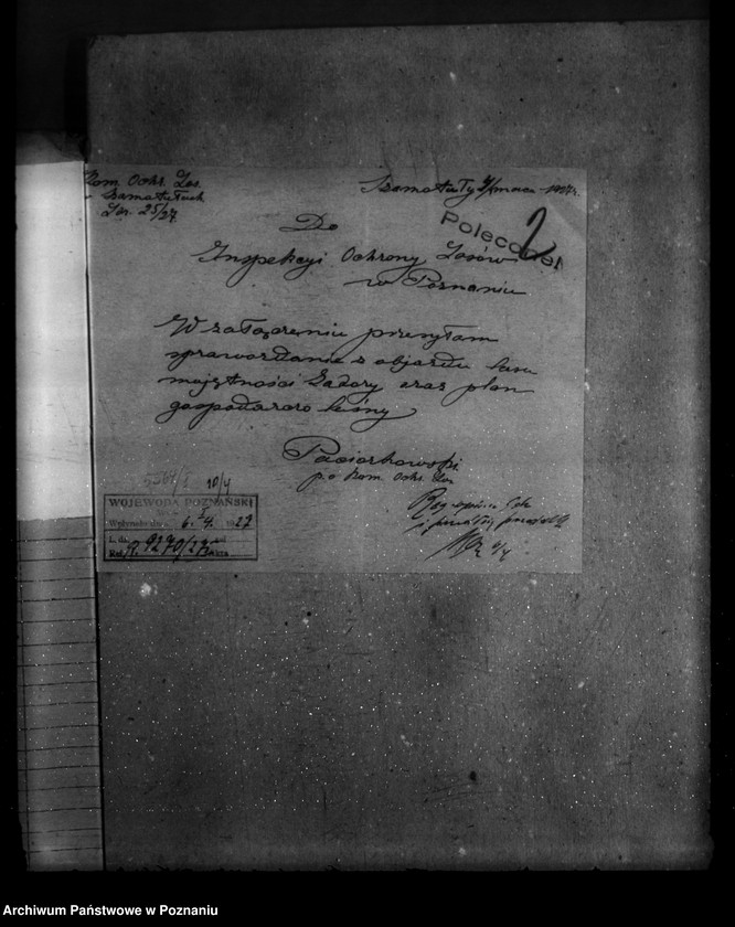 Obraz 6 z jednostki "Majętność leśna Zadory powiat kościański"