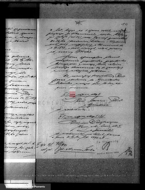 Obraz 15 z jednostki "Majętność leśna w Sarbii w powiecie czarnkowskim"