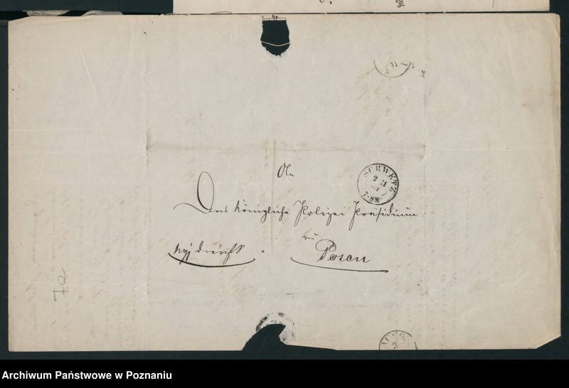 Obraz 11 z jednostki "A. betr. Josef von Daniszewski, Gutsbesitzer"