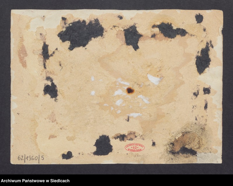 image.from.unit "Uczniowie 8 - klasowego Gimnazjum Męskiego w Siedlcach. Na dole drugi z prawej Ewald Lodwich, na górze piąty z prawej Erazm Chejło"