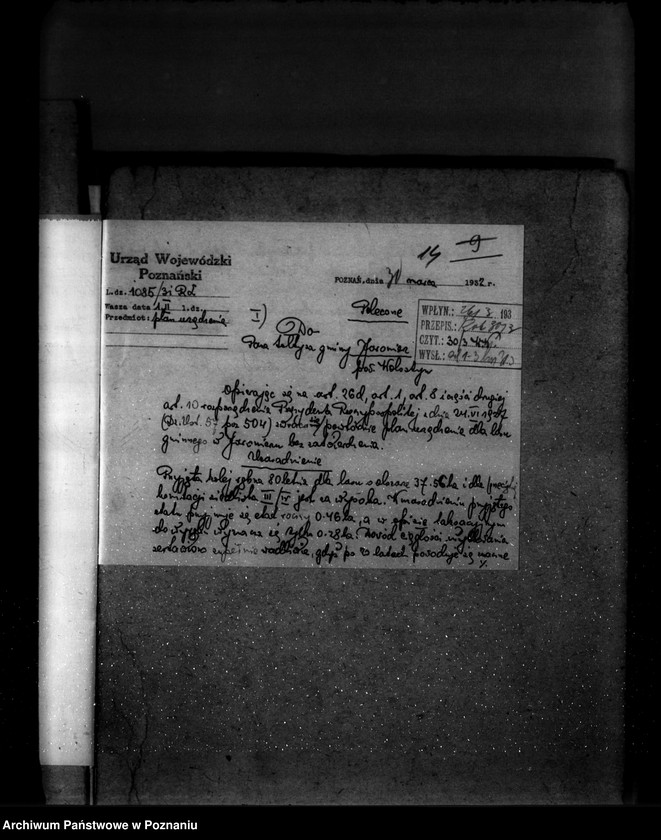 Obraz 20 z jednostki "Las gminy Jaromierz powiat wolsztyński"