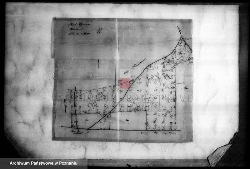 Obraz 6 z jednostki "Przymusowy wykup majątku Wyrza powiatu wyrzyskiego"