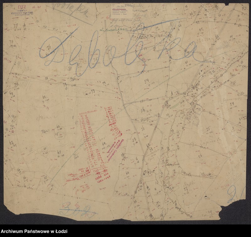 Obraz 2 z jednostki "Plan zemel postupivšich v sobstvennost krest˝jan selenija (pustoš) Vil´kolek (...) gminy Zločev"