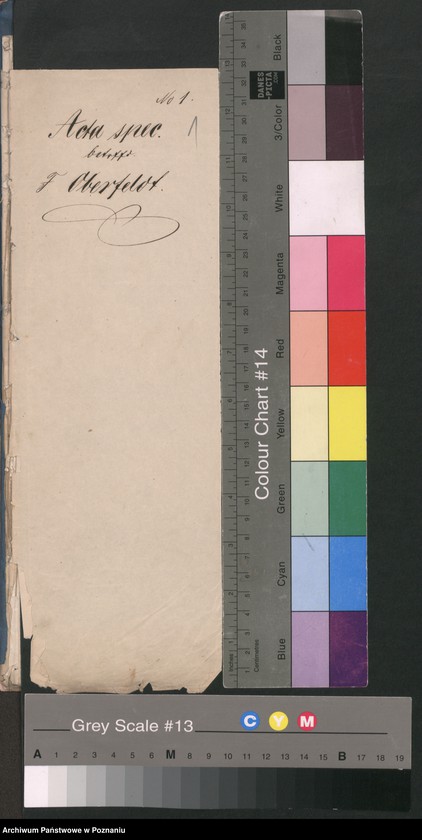 Obraz 4 z jednostki "A. betr. Dionisius Oberfeldt, Kaufmann /Waffenlager/"