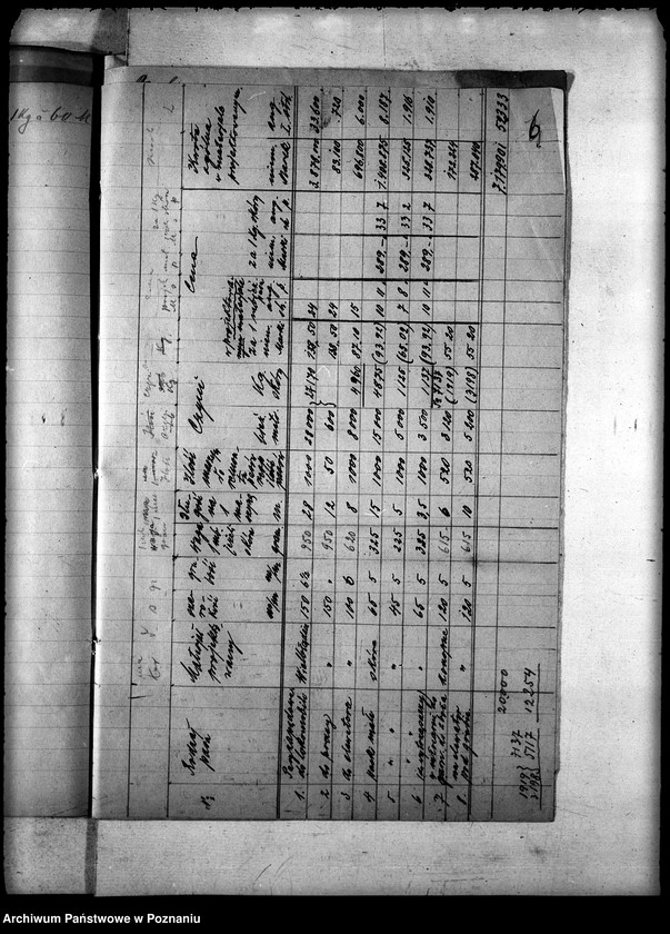 Obraz 10 z jednostki "Pasy z Belgii - gen."