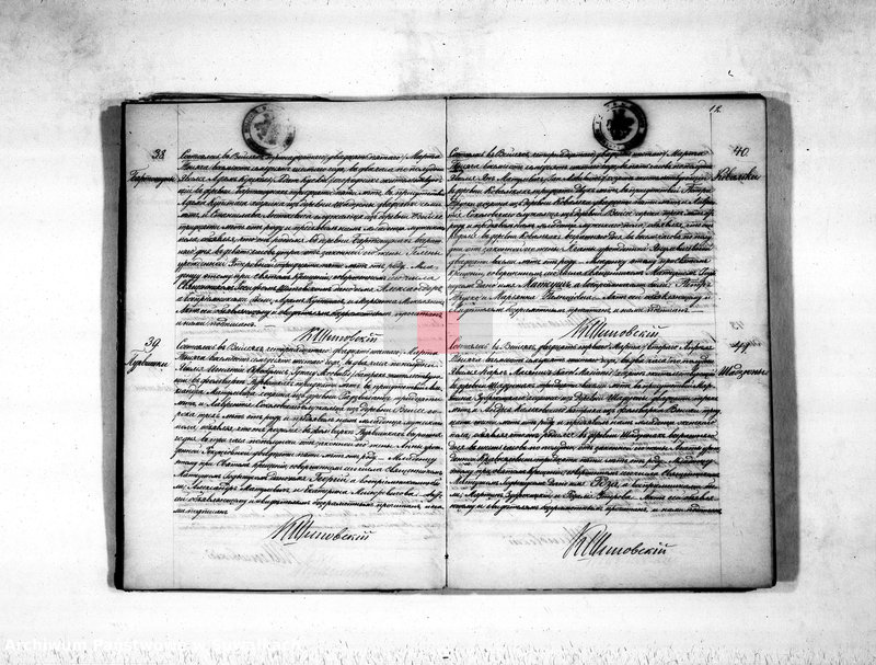 image.from.unit.number "Duplikat aktov rodivšichsja, umeršich i brakosočetavšichsja vejsejskogo rimsko-katoličeskogo prichoda na 1876 god"