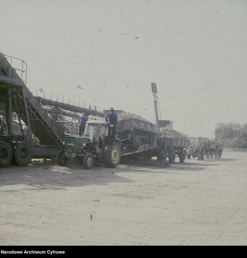 Obraz 16 z jednostki "Cukrownia "Michałów" w Lesznie koło Warszawy"