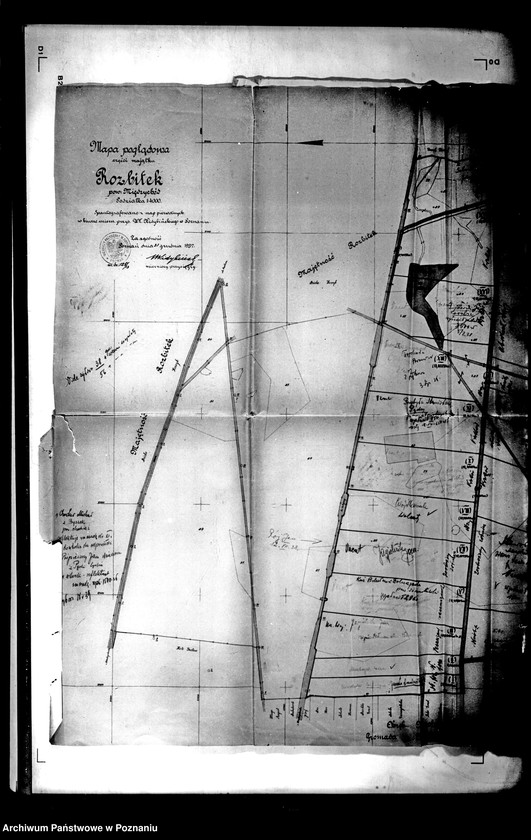 Obraz 19 z jednostki "Tymczasowy rejestr pomiarowo-parcelacyjny odnośnie gruntów przeznaczonych do przymusowego wykupu w roku 1938/39"