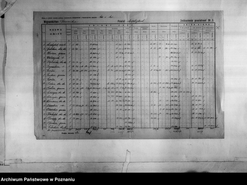 Obraz 6 z jednostki "/Statystyka produkcji rolnej - zestawienie powiatowe - Międzychód/"