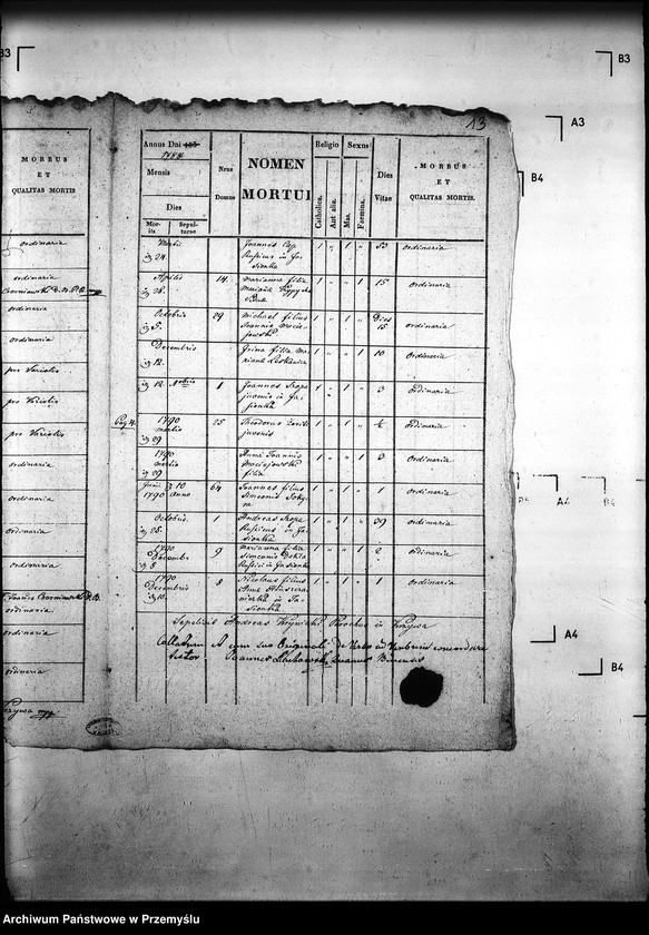 Obraz 17 z jednostki "[Kopie ksiąg metrykalnych parafii Krzywa z filiami Jasionka, Wołowiec (dekanat Gorlice)]"