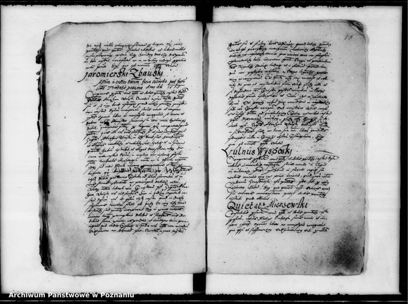 Obraz 20 z jednostki "Inscriptiones, relationes [inducta]"