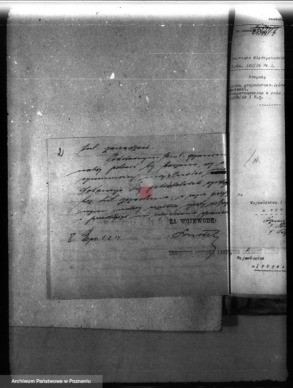 Obraz 6 z jednostki "Majętność leśna Mniszki w powiecie międzychodzkim"