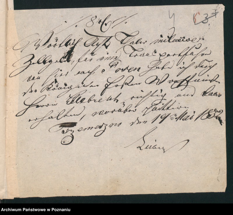 Obraz 7 z jednostki "A. betr. Ludwig Bulewski"