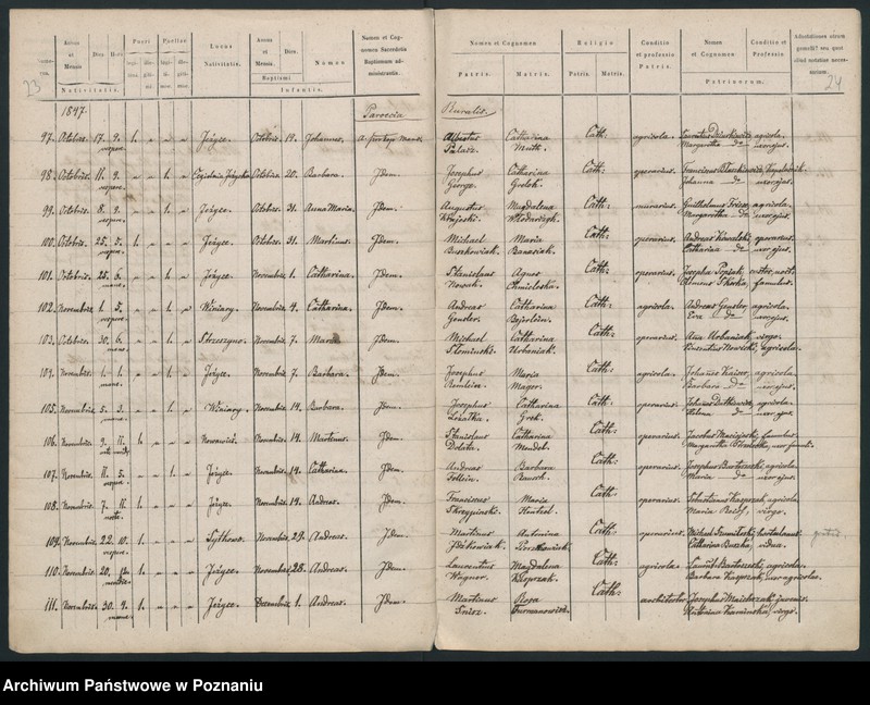 Obraz 14 z jednostki "Księga urodzeń"