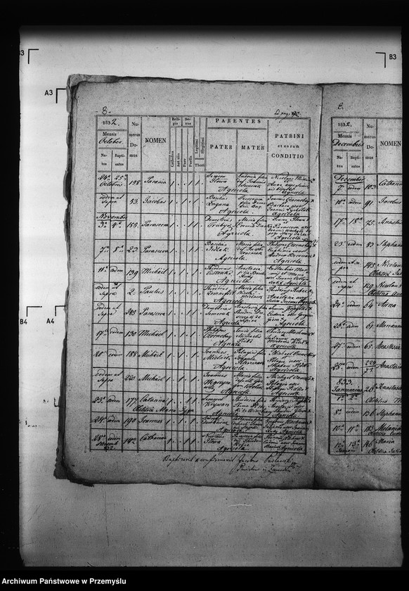 Obraz 12 z jednostki "[Kopie ksiąg metrykalnych parafii Zawadów (dekanat Niemirów)]"