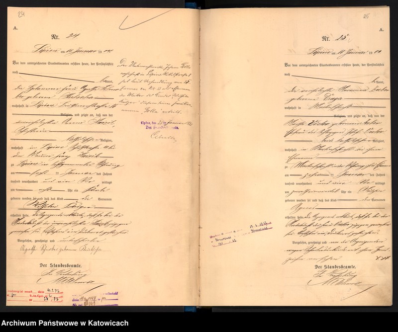 image.from.unit.number "Księga urodzeń T.1 nr 1-595"