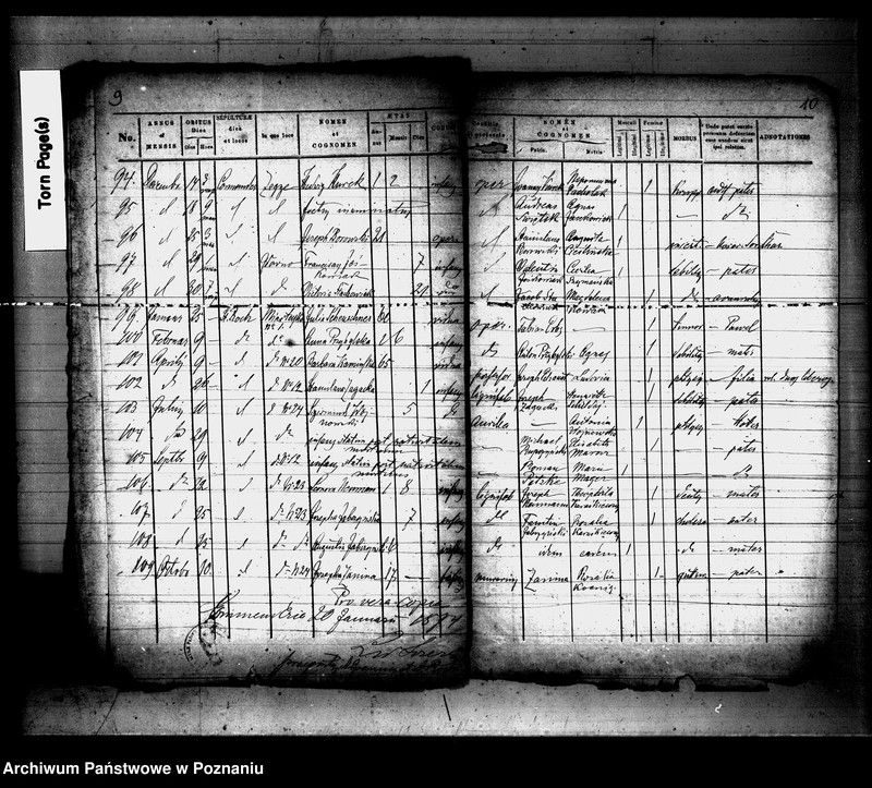 Obraz 6 z jednostki "Księga zgonów"