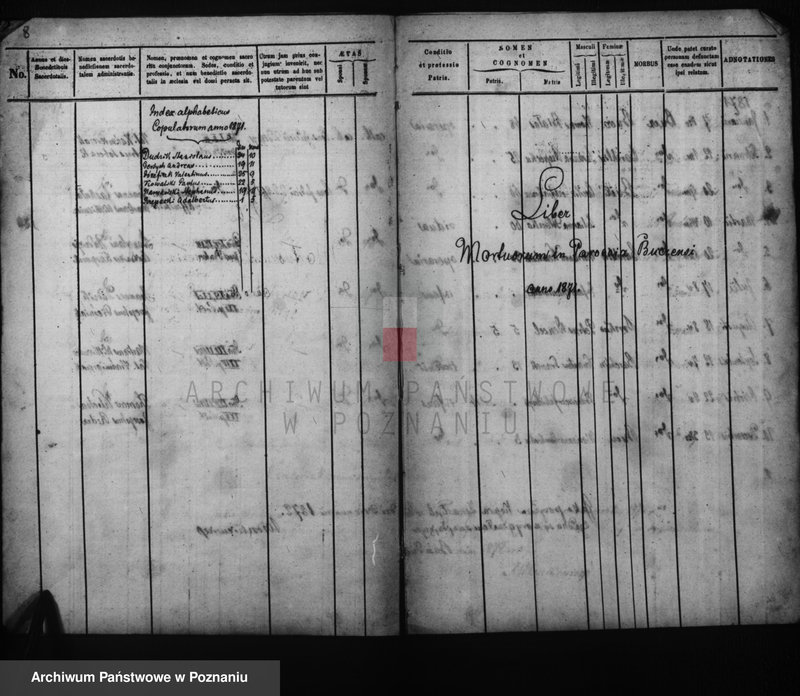 Obraz 10 z jednostki "Duplicati baptisatorum, copulatorum, mortuorum"