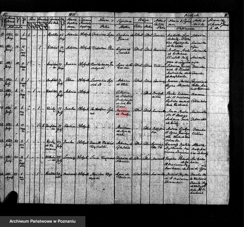 Obraz 6 z jednostki "Duplikat copulatorum, baptisatorum et sepultorum"