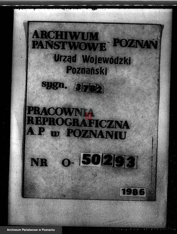 Obraz 18 z jednostki "Napachanie powiat poznański nadzór nad gospodarką leśną"
