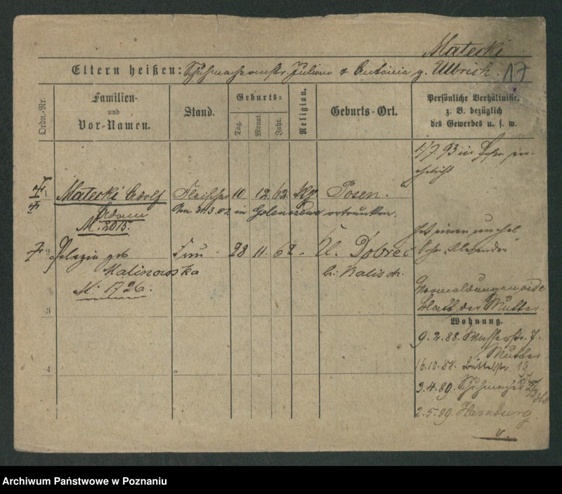 Obraz 19 z jednostki "Matecki - Matews"