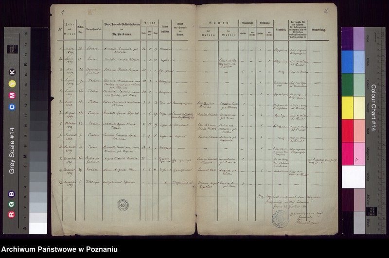 Obraz 3 z jednostki "Todesfaelle"