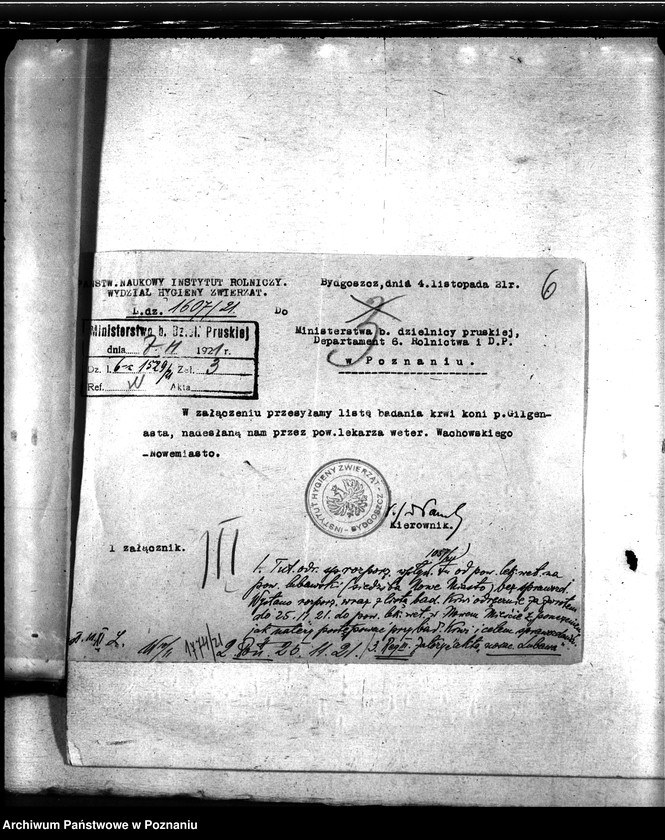 Obraz 10 z jednostki "Nosacizna - Lubawa"