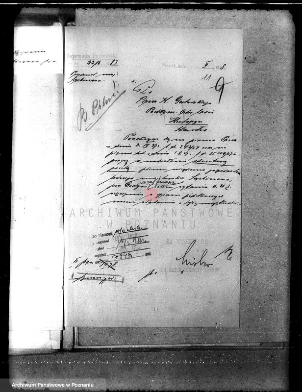 Obraz 14 z jednostki "Majętność leśna Sarbinowo w powiecie gostyńskim"