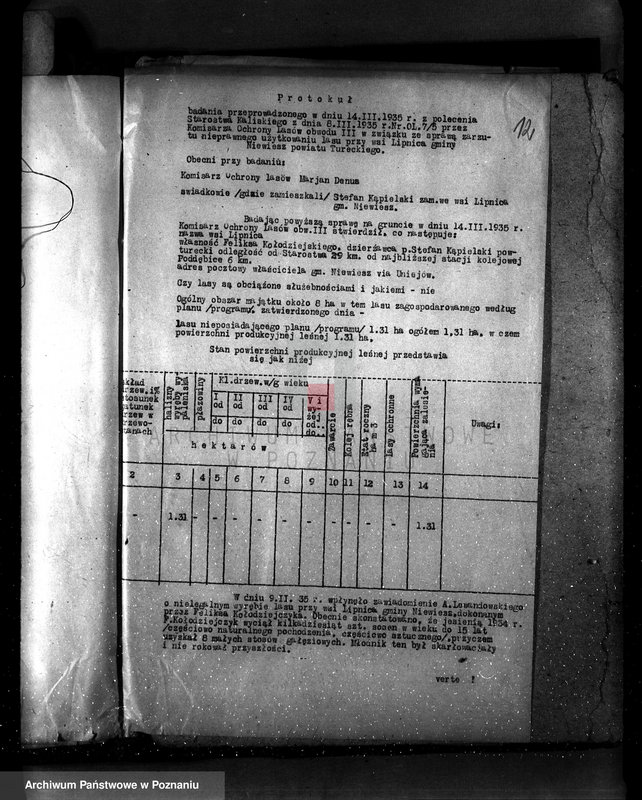 Obraz 17 z jednostki "Gmina Niewiesz powiat turecki /nadzór nad gospodarką leśną/"