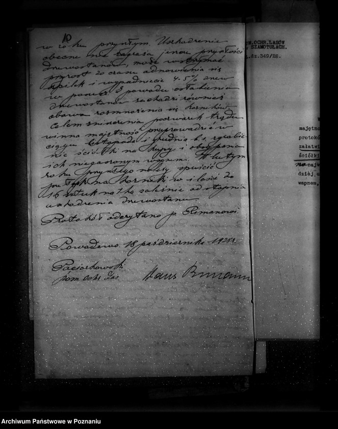 Obraz 14 z jednostki "Majętność leśna Powodowo powiat wolsztyński"