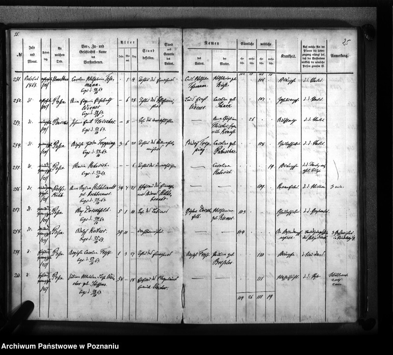 Obraz 16 z jednostki "Sterbenbuch"