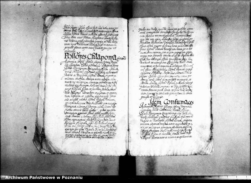 Obraz 12 z jednostki "Decreta officii [inducta]"