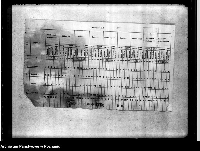 Obraz 8 z jednostki "Tierseuchenstand im Generalgouvernement"