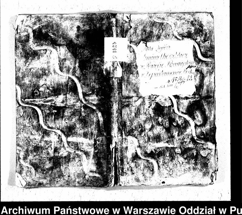 image.from.unit.number "Akta zgonów"