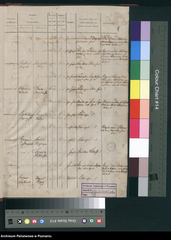 Obraz 3 z jednostki "Księga zgonów"