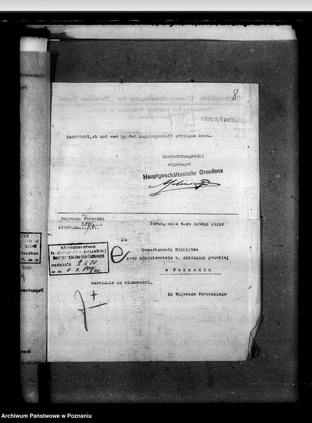 Obraz 12 z jednostki "Zarząd Stadnin Starogard"