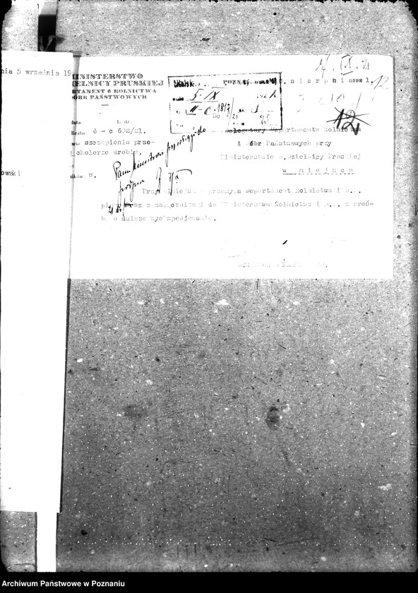 Obraz 17 z jednostki "Weterynaria"