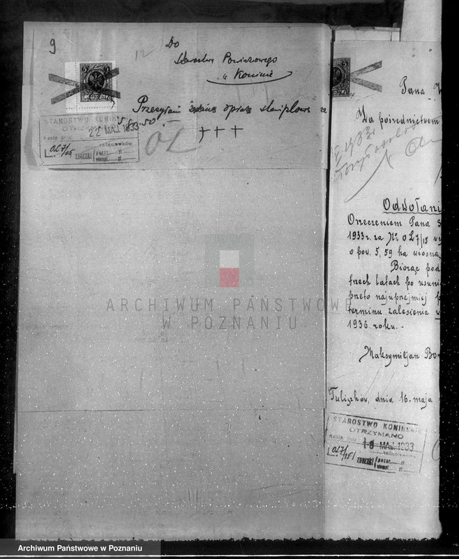 Obraz 13 z jednostki "Sprawa wydzielenia gruntów leśnych z majątku Rysin powiat koniński"