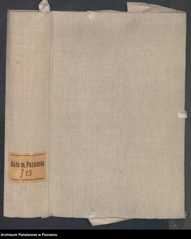 Obraz 2 z jednostki "Liber controversiarum coram consulatu Posnaniensi actarum ..."