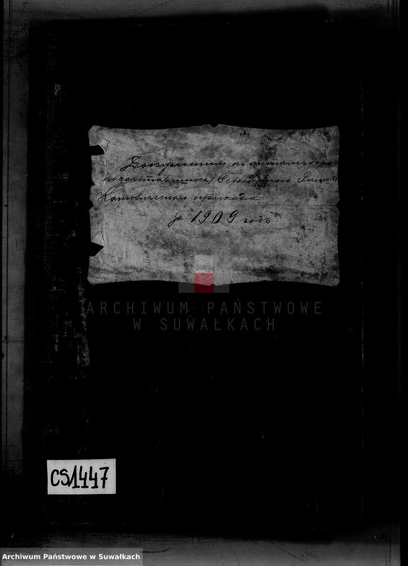 image.from.unit.number "Dokumenty k aktam brakosočetavšichsja Serejskago Rim.-kat. prichoda za 1909 god"