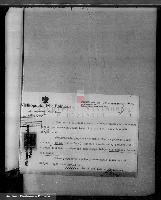 Obraz 11 z jednostki "/Nadzór nad lasami/ majętności Gębice powiatu czarnkowskiego"