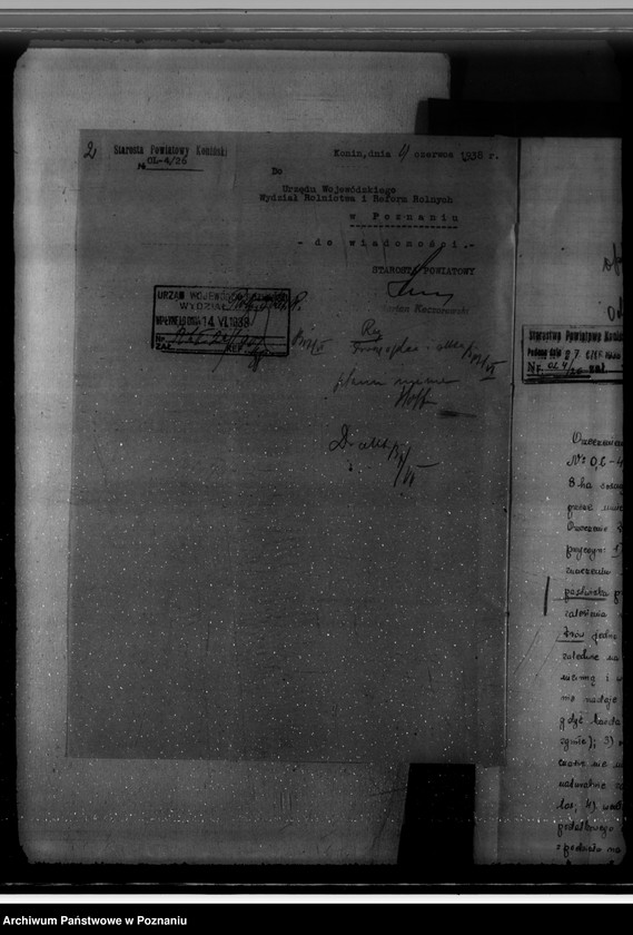 Obraz 6 z jednostki "Gmina Wymysłów powiat koniński /nadzór nad gospodarką leśną/"