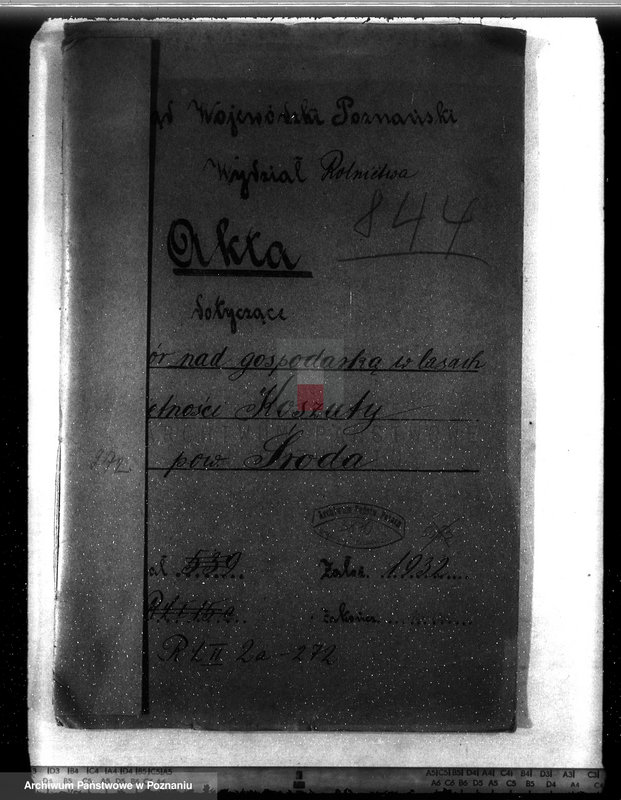 Obraz 4 z jednostki "Nadzór nad gospodarką w lasach majętności Koszuty powiat średzki"