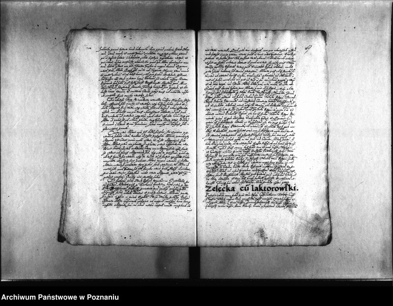 Obraz 7 z jednostki "Decreta [inducta]"