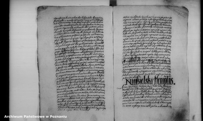 Obraz 12 z jednostki "Inscriptiones [inducta]"